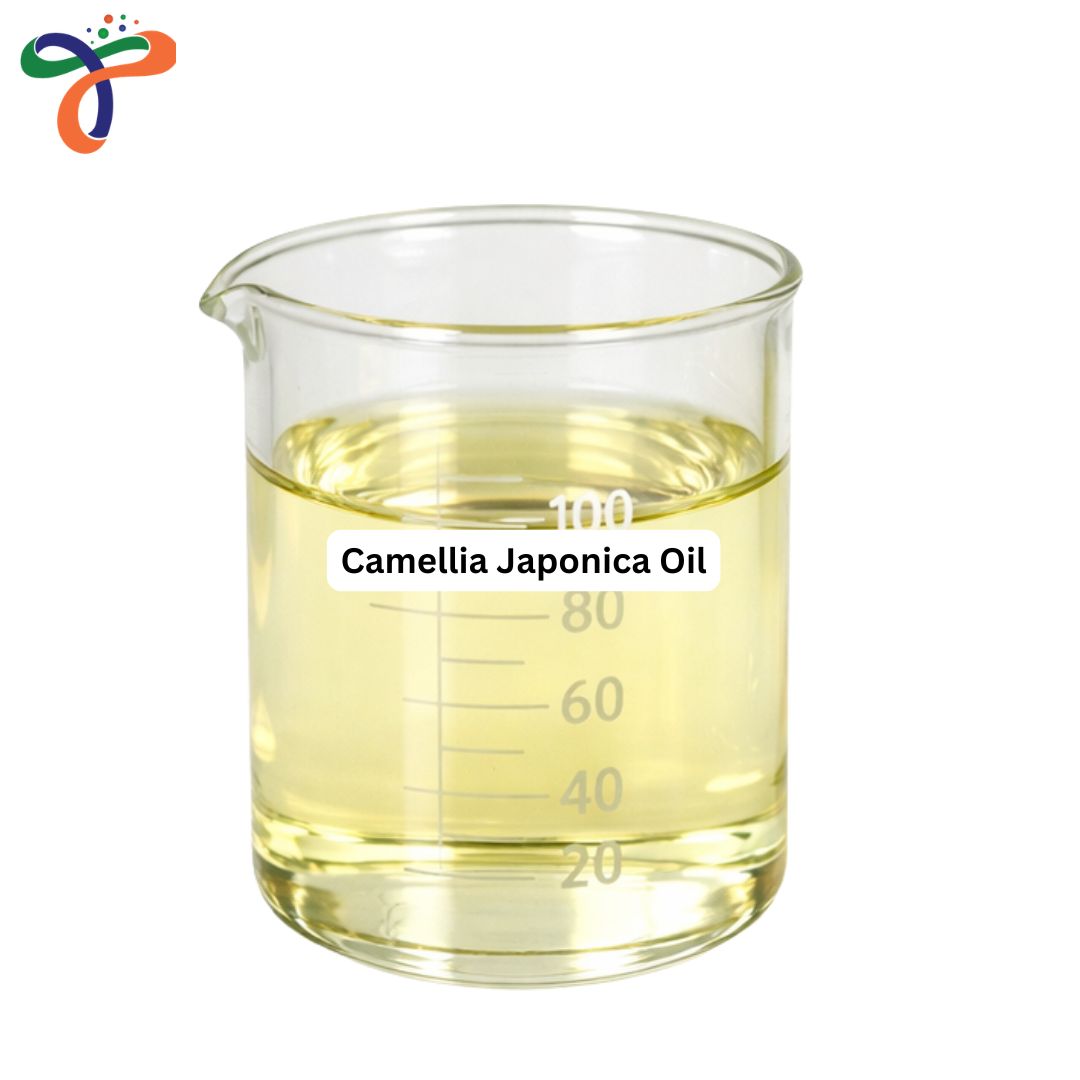 Camellia Japonica Oil